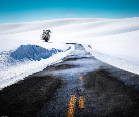 Palouse Road im Winter