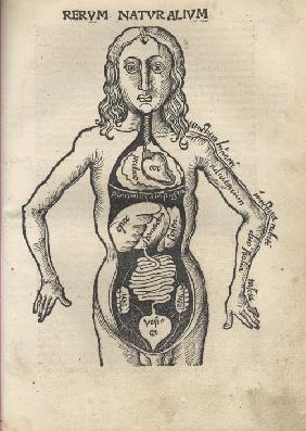 Margarita Philosophica. Anatomie 1504
