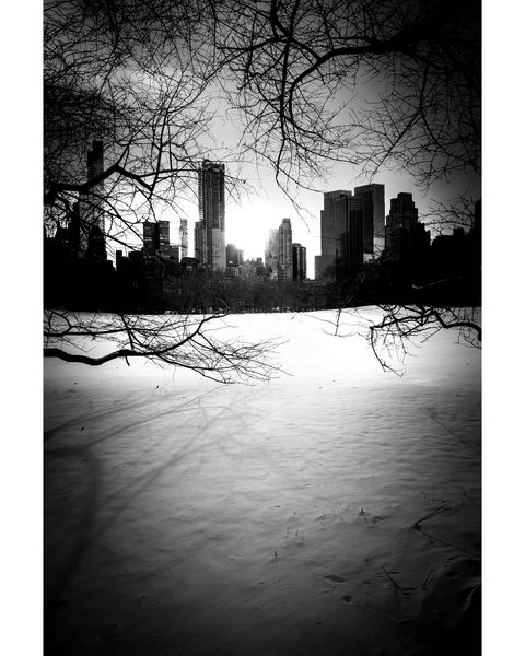 Central Park City & Trees N¬∫1 von Guilherme Pontes