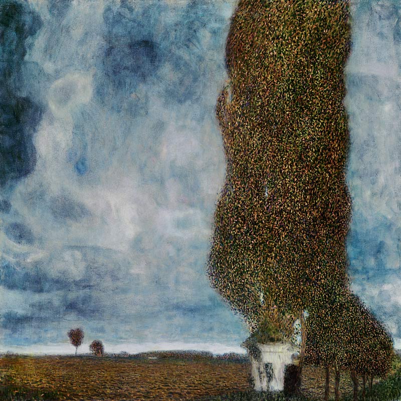 The Big Poplar II von Gustav Klimt