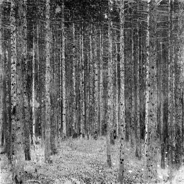 Fir Forest I von Gustav Klimt