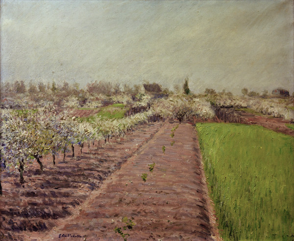 Apfelbäume in Blüte von Gustave Caillebotte