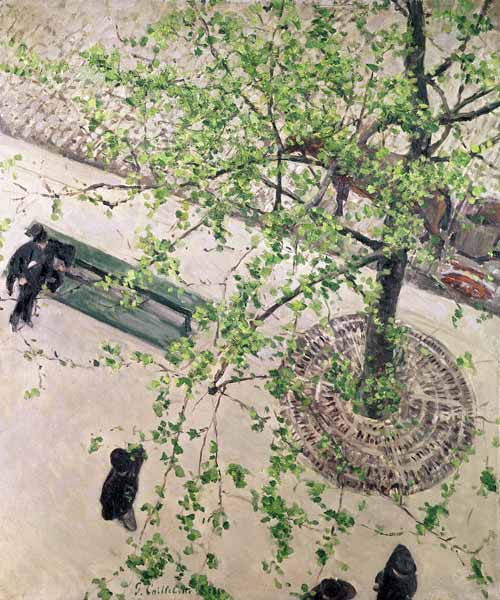 The Boulevard Viewed from Above von Gustave Caillebotte