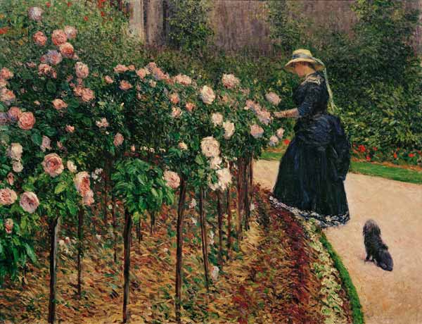 Roses in the Garden at Petit Gennevilliers von Gustave Caillebotte