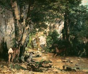 G.Courbet, Rehbockgehege 1866