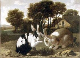 Two Rabbits in a Landscape c.1650