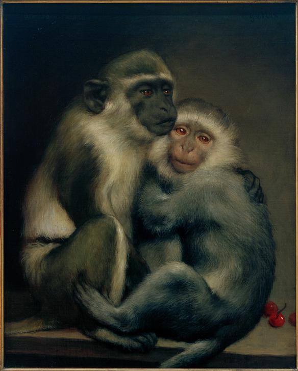 Abelard und Héloise von Haeckel Ernst