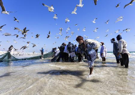 Alter Fischer aus Oman