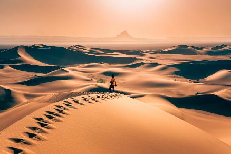 Allein in der Wüste