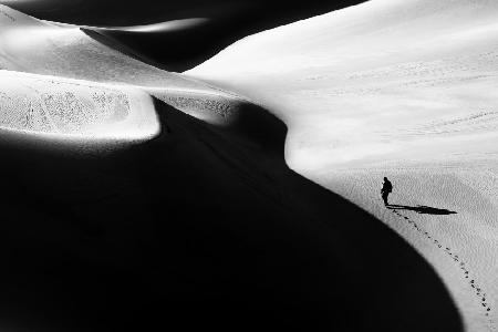 Schatten der Wüste III