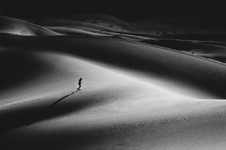 Spaziergang in der Wüste II