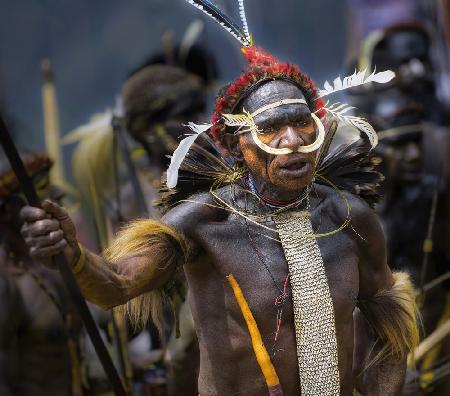 Krieger von Papua
