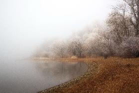 Nebel und Raureif auf dem See