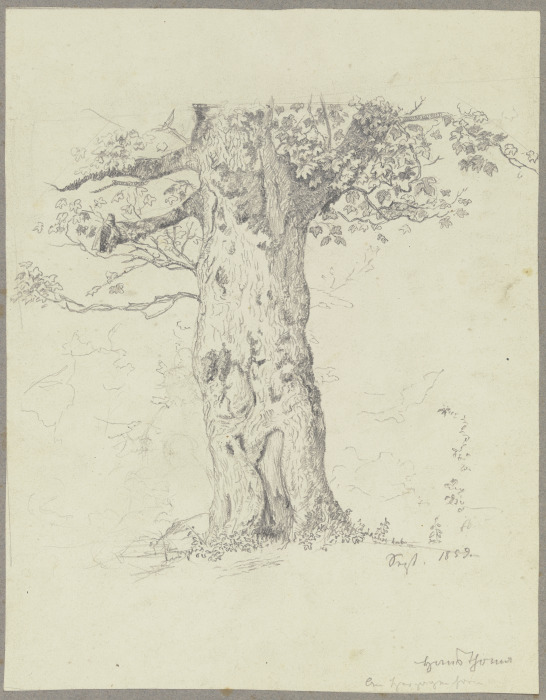 Baum von Hans Thoma