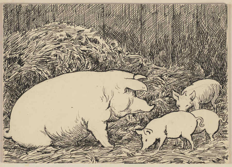 Zeichnung zur Fibel: Schwein von Hans Thoma