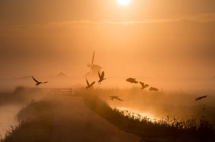 Sunrise Flight von Harm Klaverdijk