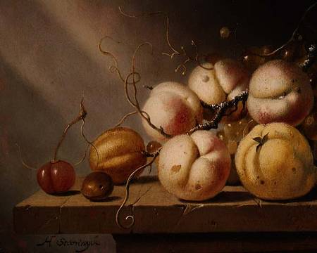 Still life of fruit on a ledge (panel) von Harmen van Steenwijck