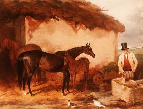 The Mare "Perhaps" with her foal 1846