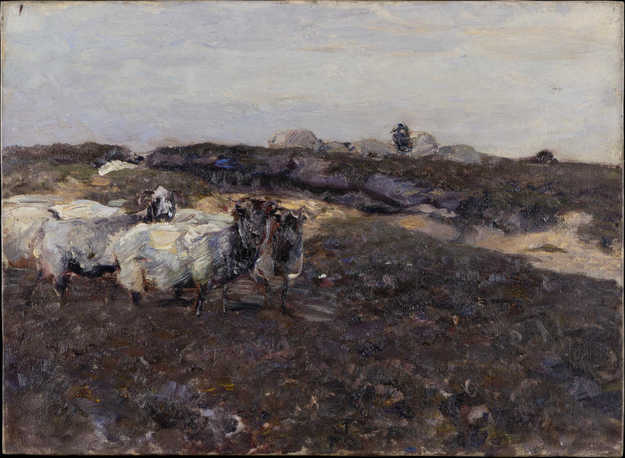 Schafe in Heidelandschaft von Heinrich von Zügel