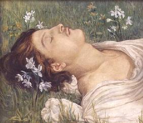 Narcissus 1876