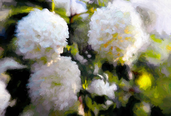 Big Blowsy Blooms von Helen White