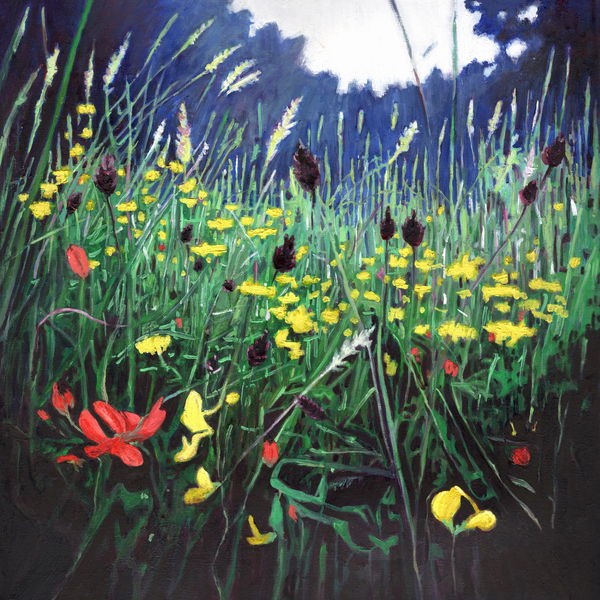 Meadow glory von Helen White