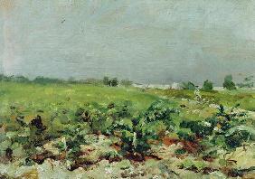 Celeyran, View of the Vineyard, 1880 (oil on canvas) 15th