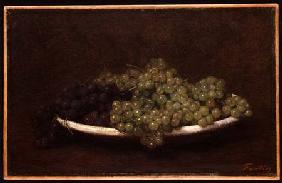 Still Life of Grapes c.1894