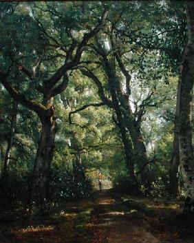 Path in the Forest 1864
