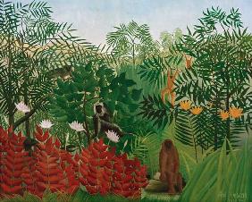 Tropical Forest with monkey