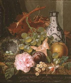 Still Life