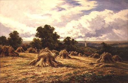 Harvested Field von Henry Parker