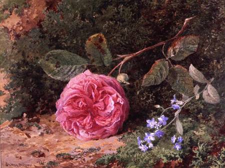 Pink Rose on a Mossy Bank von Henry Sutton Palmer