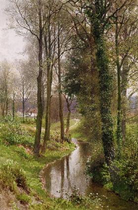 Round My House: The Mill Stream, Ockham 1880-86