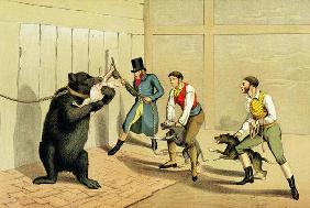 'Bear Baiting', pub. by Thomas McLean, 1820, (sporting print) 1864