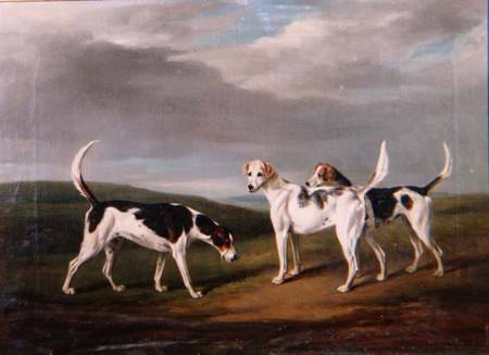 Foxhounds in a Landscape von Henry William Banks Davis