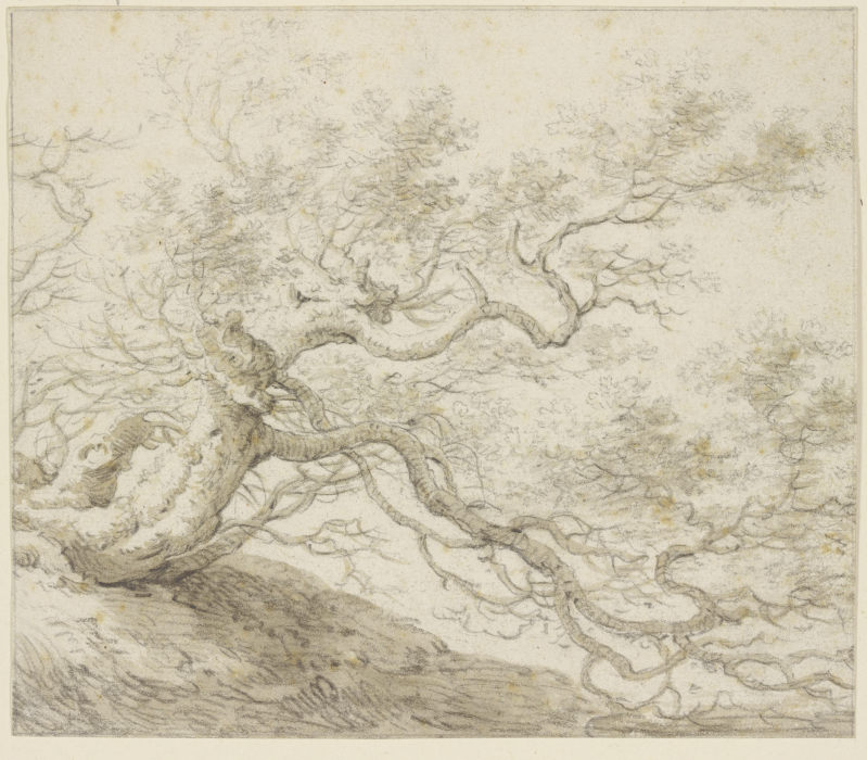 Verkrüppelter Baum von Herman Saftleven III