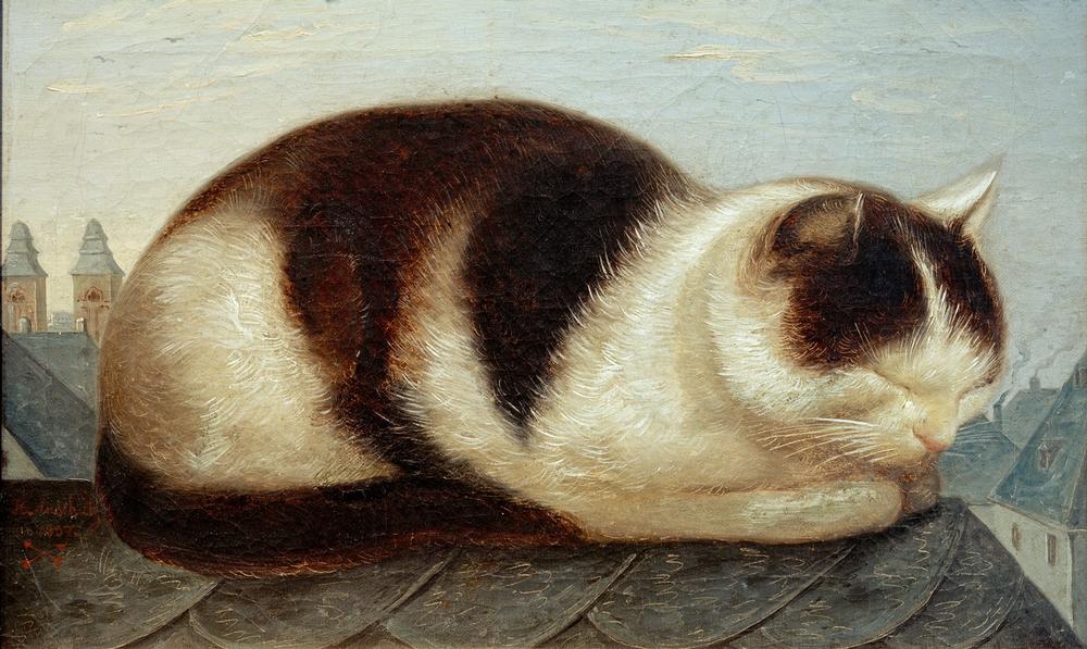 Katze von Hermann Anschütz