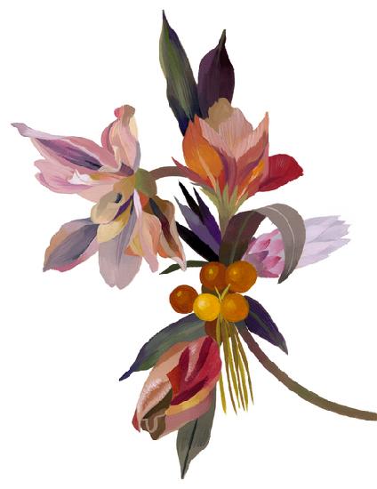 An imaginary flower based on a tulip 2003