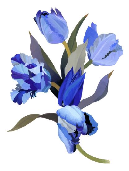 Blue tulip 2017