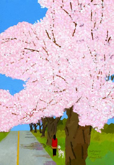 cherry trees 2017