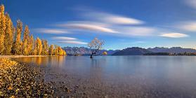 Autumn in Lake Wanaka