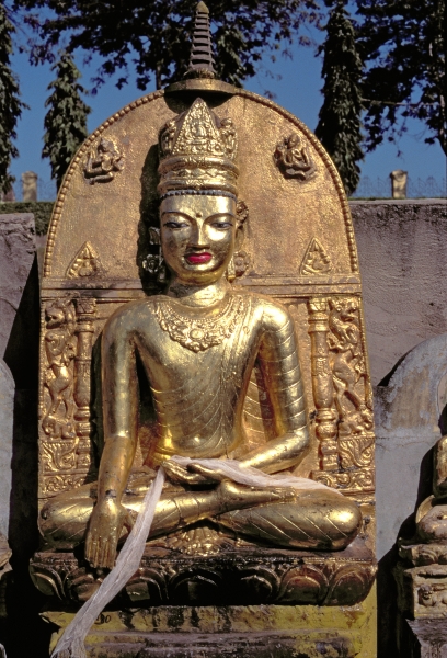 Buddha (gold)  von Indian School