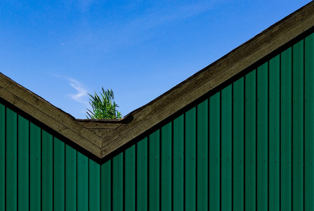 Ein Dachgarten von Inge Schuster