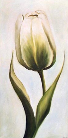 Weiße Tulpe 2 von Ingeborg Kuhn