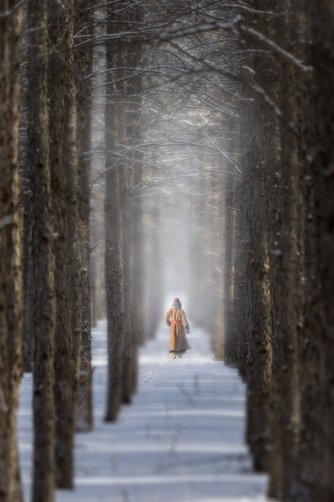 Ein Spaziergang im Wald von Irene Wu