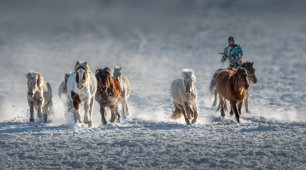 Galoppierende Pferde im verschneiten Feld von Irene Wu