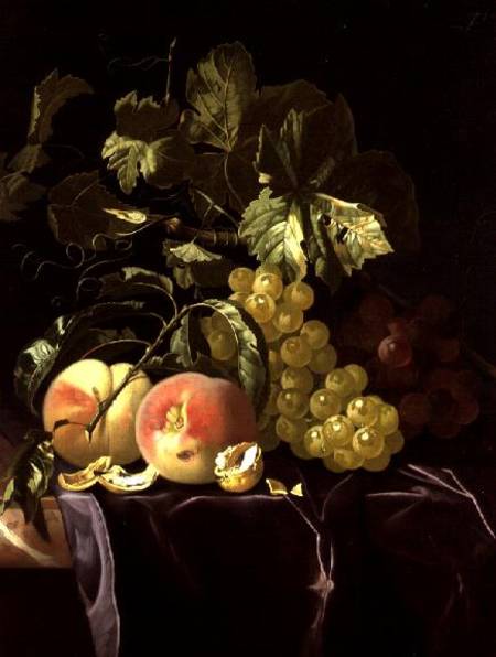 Still Life of fruit, nuts and leaves on velvet cloth von Isaak Denies