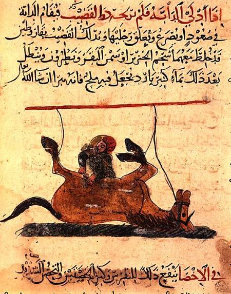 Operation on a horse, illustration from the 'Book of Farriery' by Ahmed ibn al-Husayn ibn al-Ahnaf von Islamic School