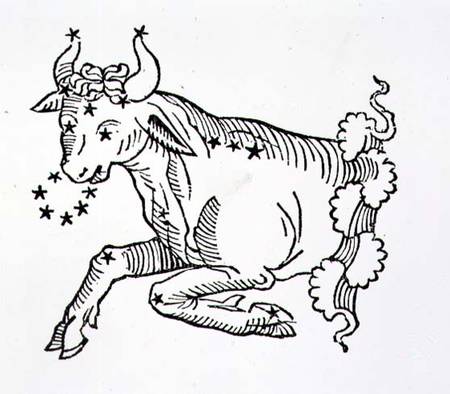 Taurus (the Bull) an illustration from the 'Poeticon Astronomicon' by C.J. Hyginus, Venice von Scuola pittorica italiana